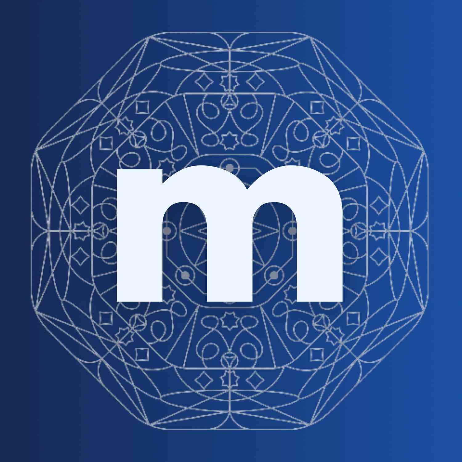 metalpace logo