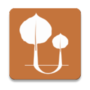 Runpando logo