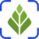 Scalion Commerce logo