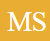 METTLE SURVEILLANCE logo