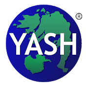 Yash Global Electronics Security Solution logo