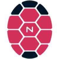 numel solutions logo