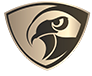 Hawk Vision logo