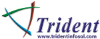 Trident Infosol logo