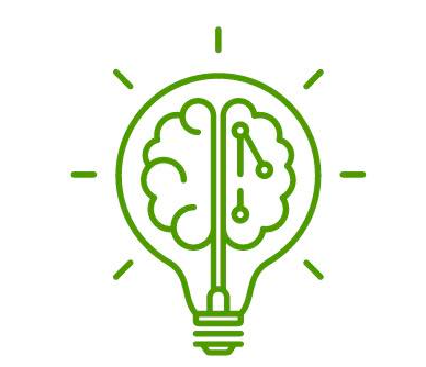 BrainyPi logo