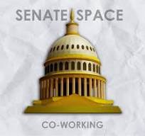 Senate Space logo