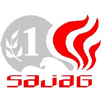 Sajag Securities logo