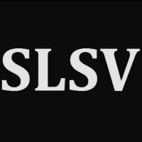 Sound and Light Social Ventures logo