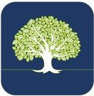 WhiteOak Capital Asset Management logo