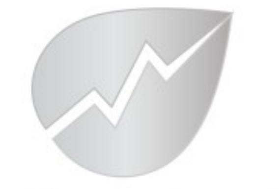 Silverleaf Capital Services logo