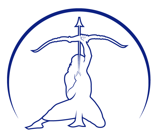 Nimble Vision logo