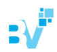 Bitvivid Solutions logo