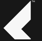 Raylog logo