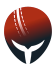 CricHeroes logo