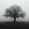Poison tree logo