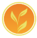 Novus Green logo