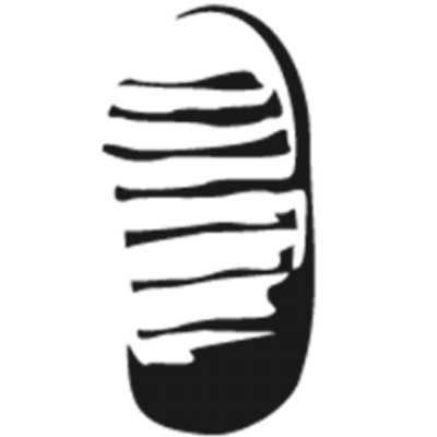 moonwalkr logo