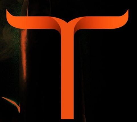 Toyam Sports logo