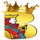 Badshahcric logo