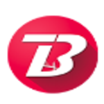 The Bridge logo