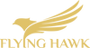Flyinghawk logo