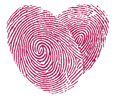 DilSey logo