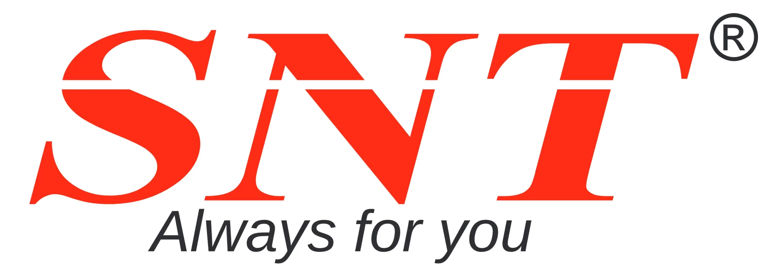 SNT logo