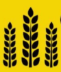 MilletsKhao logo