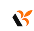 Badri group logo