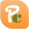 Playbook Consulting logo