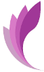 Gemini Solutions logo