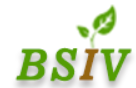BSIV Nursery and Farms logo