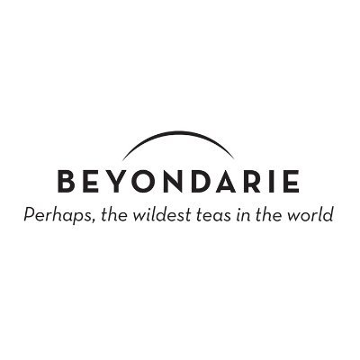 Beyondarie logo
