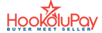 HookoluPay Fintech logo
