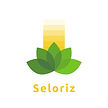 Seloriz logo