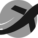 SAP Aerospace logo