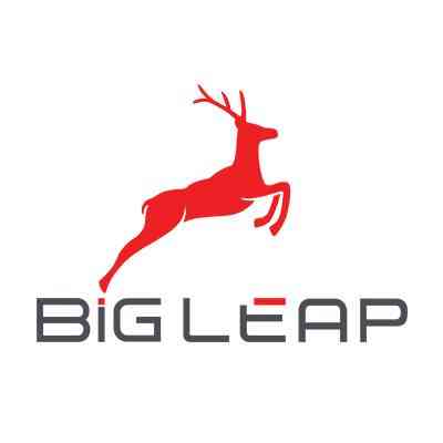 BigLeap logo
