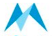 Mobisafar logo