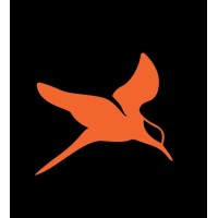 Baldora logo
