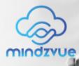 mindZvue logo