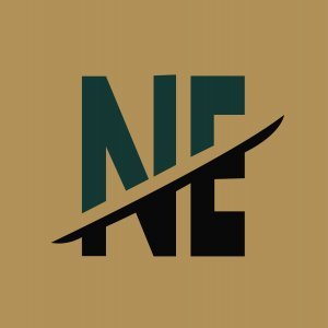 Nayagi Enterprises logo