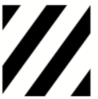 Zebra Learn logo