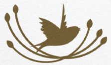 mornChef logo