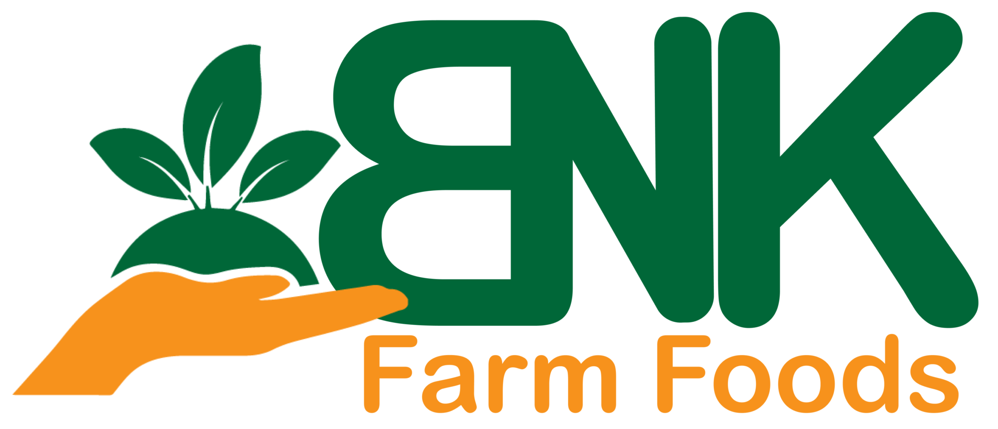 BNK Farm Foods logo