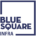 Blue Square Infra logo