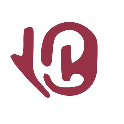 Drapvision logo