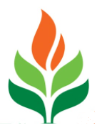 Primove Engineering logo