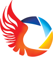 Quidich logo