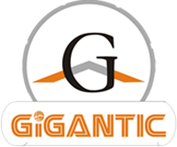 Gigantic Infotel logo