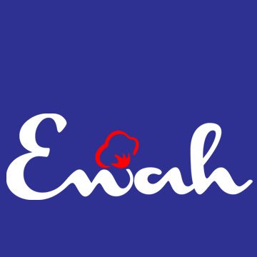 Enah logo